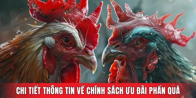 Chi tiết thông tin về chính sách ưu đãi phần quà