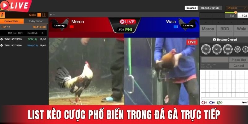 List kèo cược phổ biến trong đá gà trực tiếp