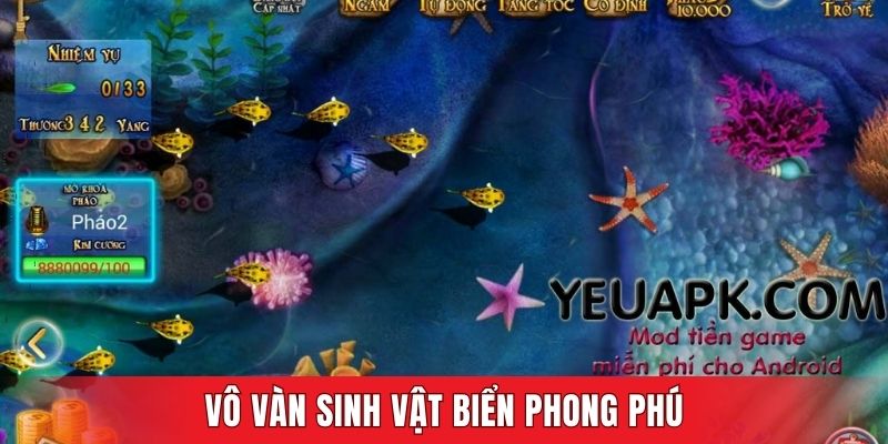 Vô vàn sinh vật biển phong phú
